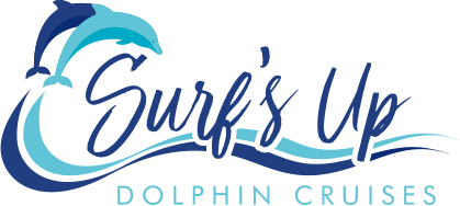 dolphin cruises.com