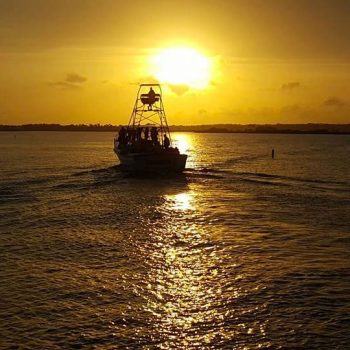Sunset Dolphin Cruise Gulf Shores Alabama